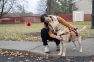 A woman kneels next to a tan Labrador wearing a service dog vest. They are on a sidewalk outdoors.