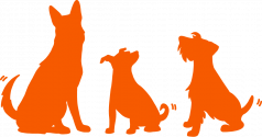 Tell-Tail-Dog-Training-Multi-Dog-Primary-Orange-RGB-1000px@72ppi